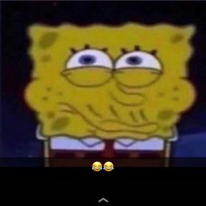 Meet your Posher, Ariana